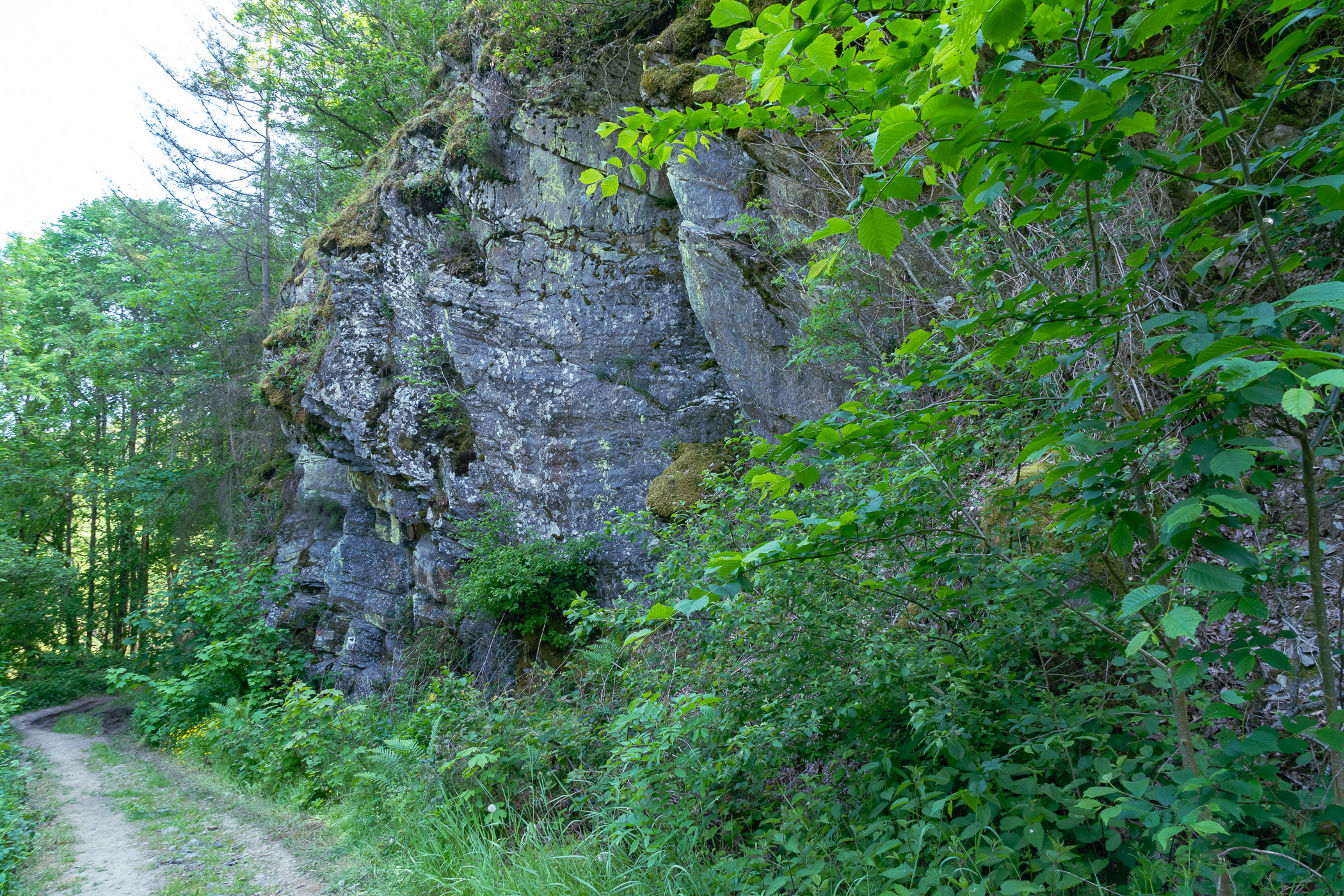 Felsen am Wegesrand